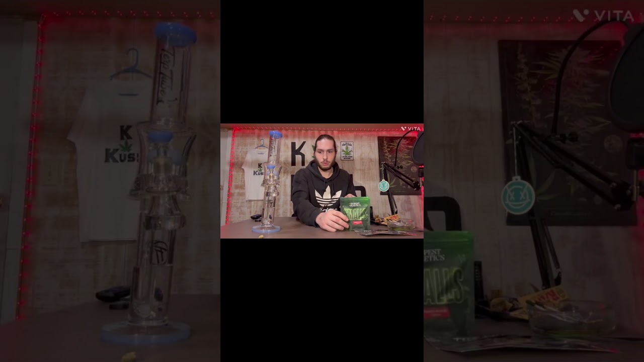 Tigers blood by The Dopest Genetics 🧬