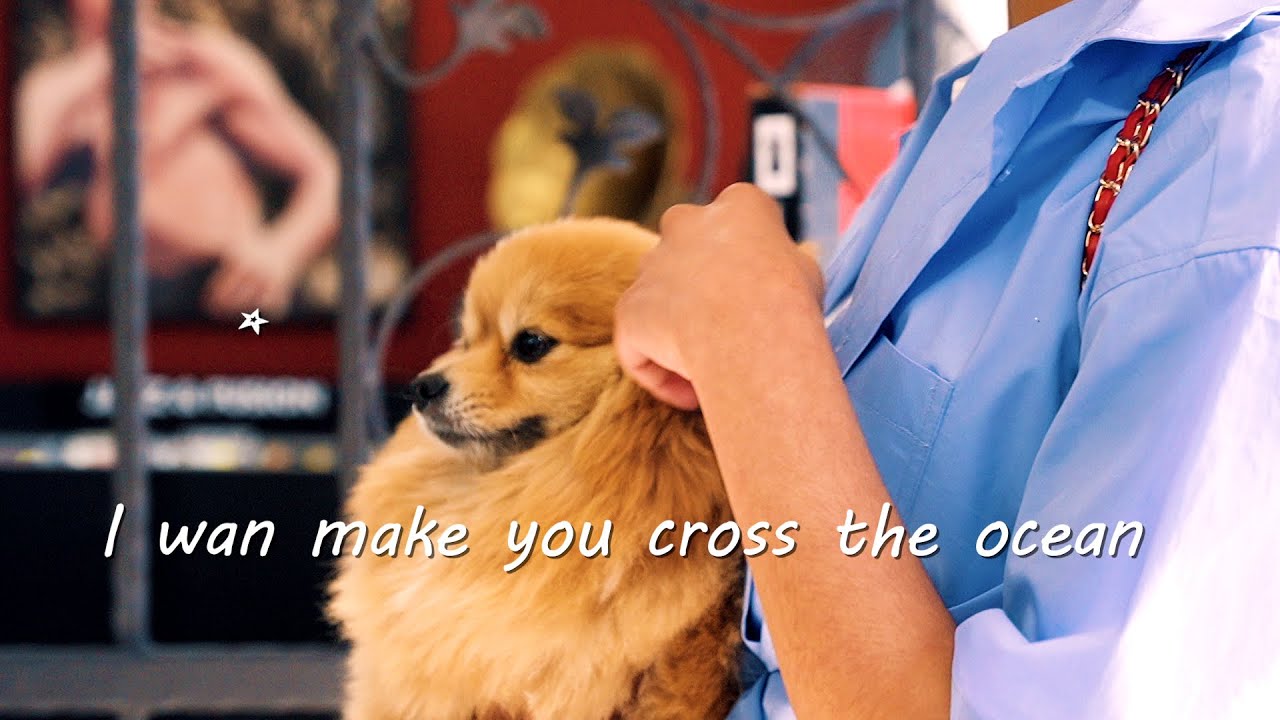 Lady Zamar x Fido - show me | Lyric Video