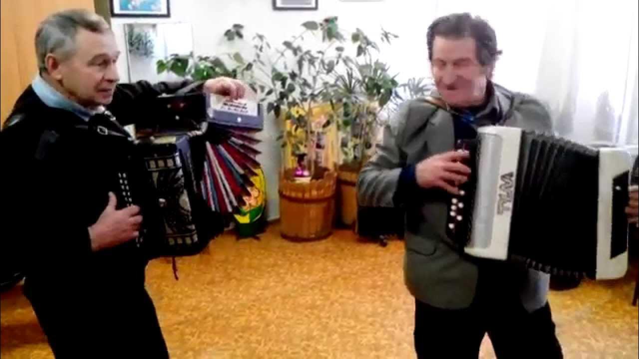 сибирская гармонь. барыня под гармонь. играй гармонь барыня. галина на гармони. матаня воронежская под гармонь.
