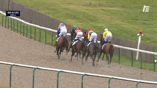 Vidéo de la course PMU PRIX DE CHASSELOUP