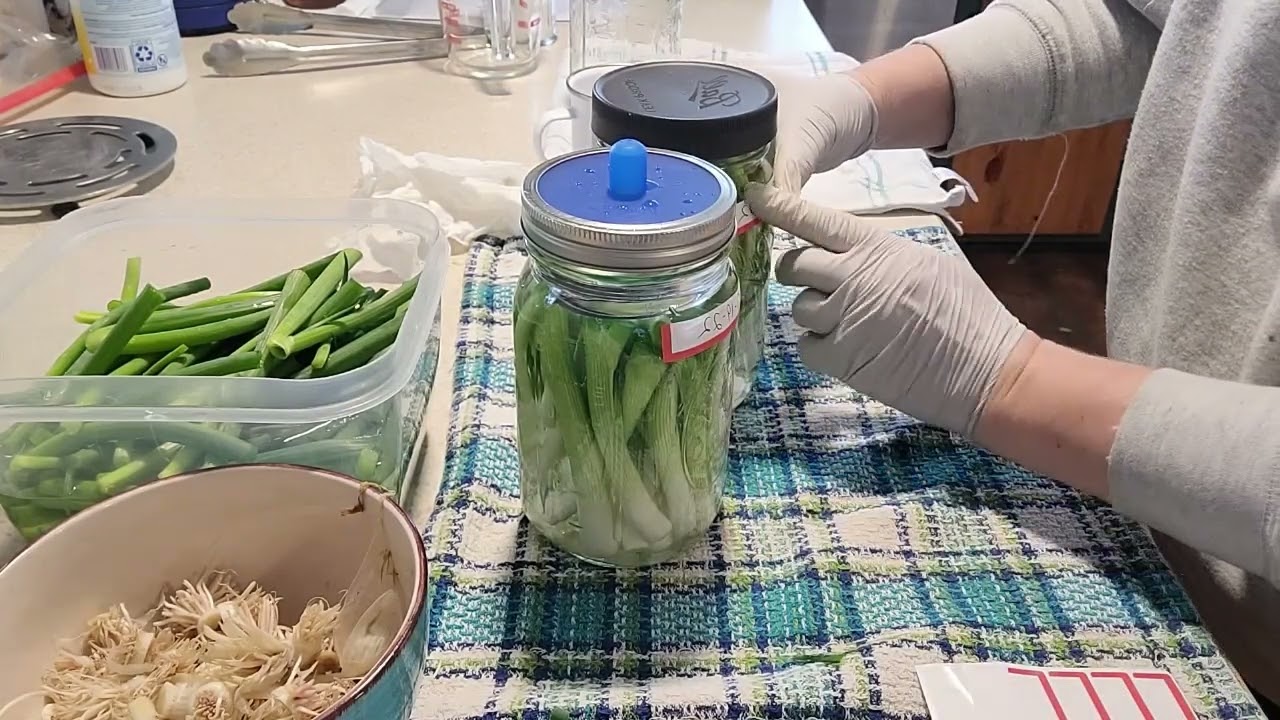 Abundance of Green Onions