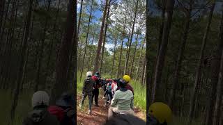 Kéo Nhau Vào Rừng