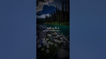 تلاوه من سورة الزمر|بصوت الشيخ ياسر الدوسري🎧♥️#trending #quran #قران_كريم #راحة_نفسية #قرآن