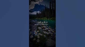 تلاوه من سورة الزمر|بصوت الشيخ ياسر الدوسري🎧♥️#trending #quran #قران_كريم #راحة_نفسية #قرآن