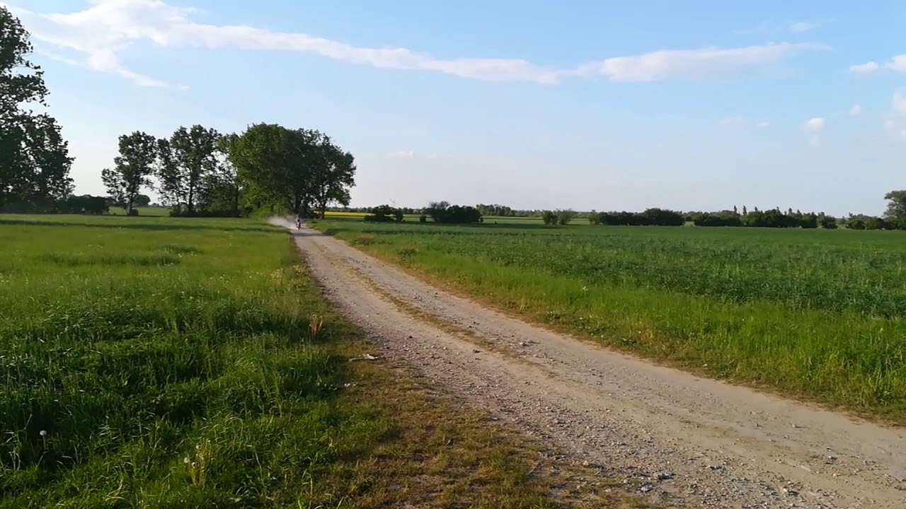 +-0 Simson Tuning 85ccm 3 Kanal Membran