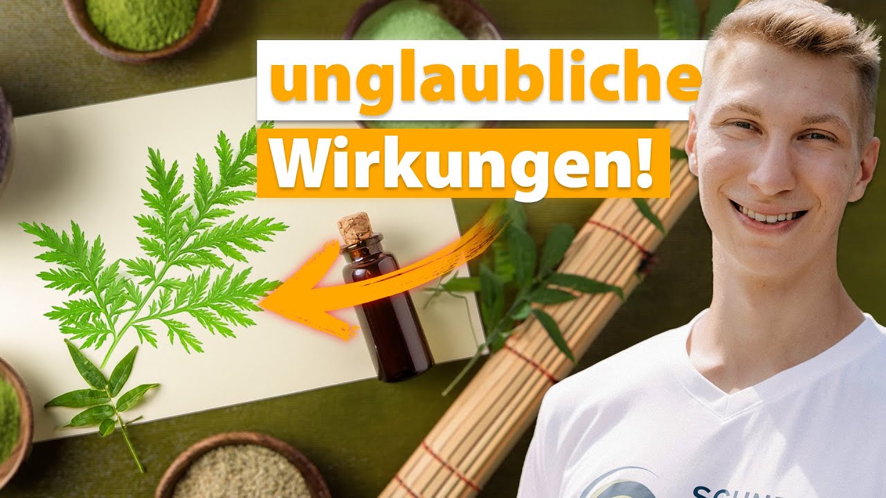 Artemisia Annua: Wirkstoffe, Wirkungen und Anwendung (Alles was du wissen musst)