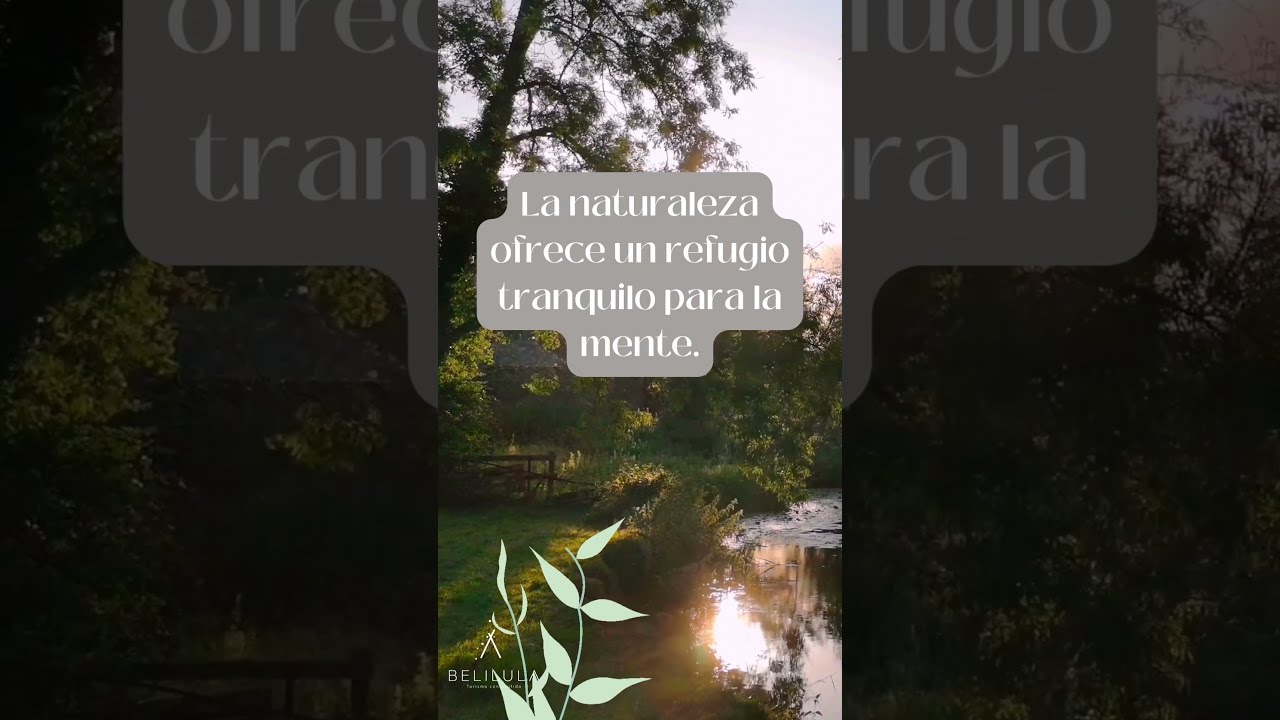 Conexión con la Naturaleza