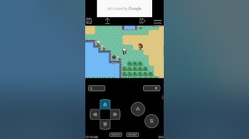 Pokemon ruby randomizer nuzlocke part 5