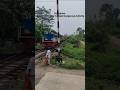 Burimari Express on its way to Kurigram..🚇🚇 || #railtrack #viral #train #shorts #railway #railgate
