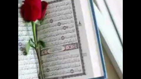 القرآن الكريم للقارئ راسم التميمي سورة القيامة..لاتنسوا والدي من خالص دعائكم