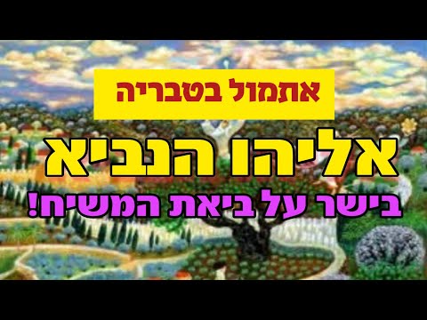 וִידֵאוֹ: מתי התגלו חמוצים?