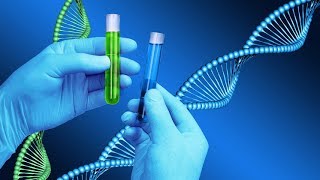 DNA Test Confirms: David is the Most Jewish Person