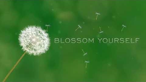 Migliorare la disciplina con la calligrafia