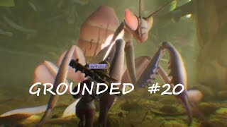 GROUNDED #20: AE TÔI HẤP DIÊM BỌ NGỰA!!!! MANTIS!!!