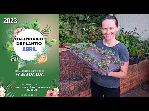 Vídeo: Jardinagem da Região Oeste: plantação de abril no oeste