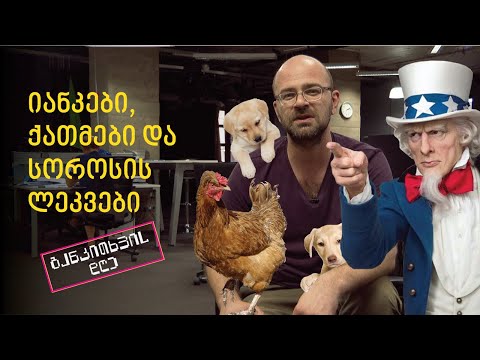 იანკები, ქათმები და სოროსის ლეკვები - ნიკო კომენტარებს კითხულობს