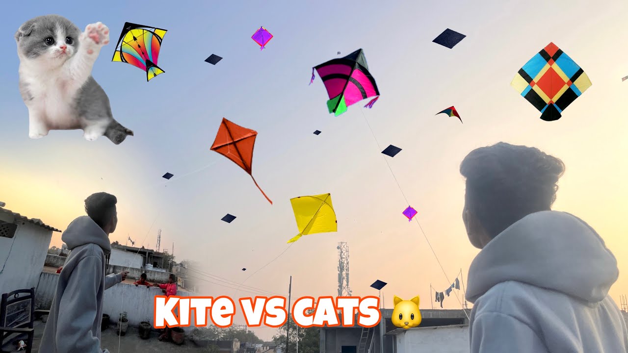 Flying India🪁 | Kites Flying 2025 | Patang Baaz Vlog | 