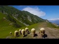 Kumrat valley documentary a heaven on earth travel guide of pakistan.