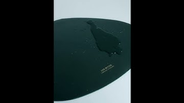 Jogo Americano Elipse em Couro