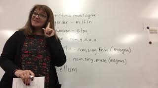 Henle Lesson 7- 1st/2nd declension adjectives