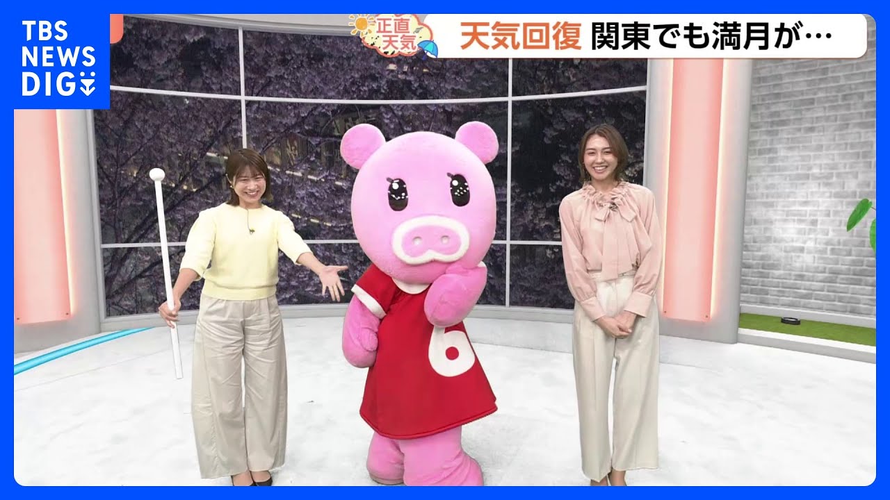 【4月3日 関東の天気】桜と青空…ラストチャンス｜TBS NEWS DIG