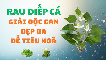 Rau Diếp Cá: Giải Độc Gan, Giảm Mụn, Hết Táo Bón Nếu Bạn Ăn Mỗi Ngày