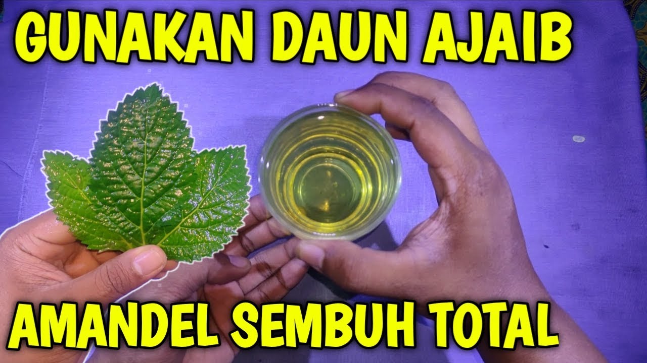 Amandel sembuh dengan cepat, cara mengobati amandel secara alami