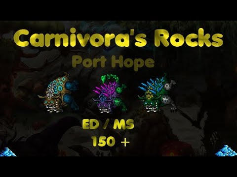 Carnivores Bestiary in Port Hope - All Loot : r/TibiaMMO