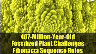 407-Million-Year-Old Fossilized Plant Challenges Fibonacci Sequence Rules