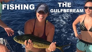 Fishing the Gulfstream, Bimini to Miami - S1:E43