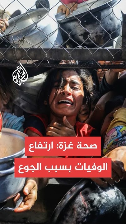  :            
 - نشر قبل 26 دقيقة