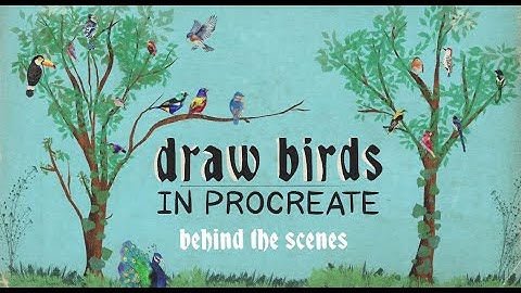 Behind the Scenes | Draw Birds in Procreate Class