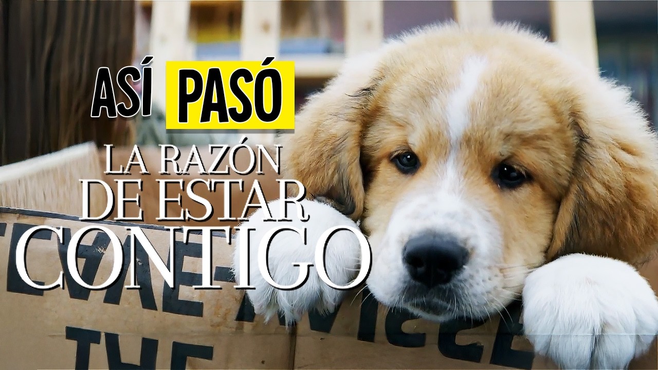 LA RAZON DE ESTAR CONTIGO 1 Y 2 RESUMEN EN