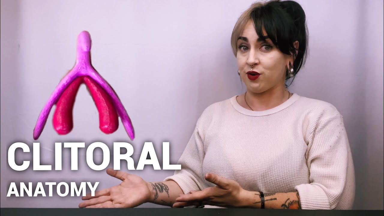 Clitoral Anatomy (and the history lesson you didn’t know you needed)
