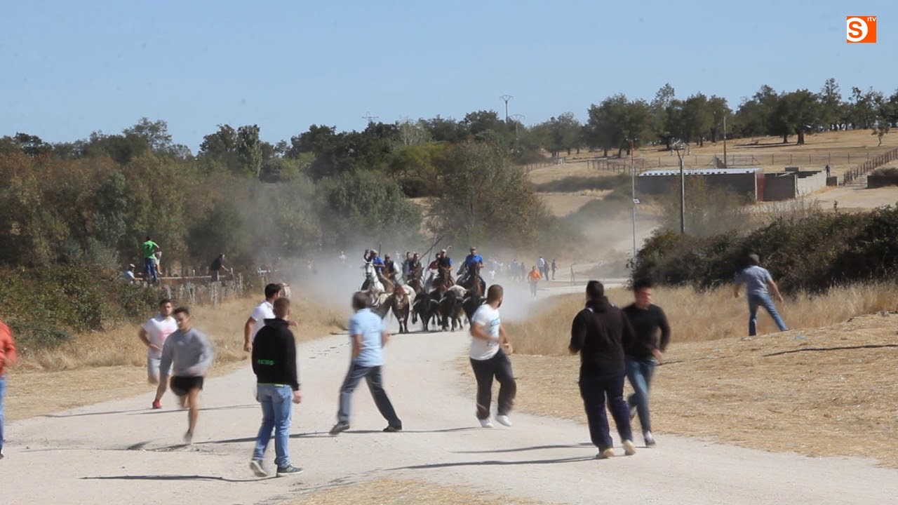 Encierro a caballo en Bañobárez