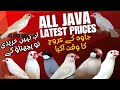 Java Finch Ka Rate Tezi Se Barh Raha Hai! | Java Latest Price Update 2025