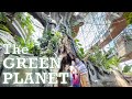 THE GREEN PLANET DUBAI Rainforest Exploration