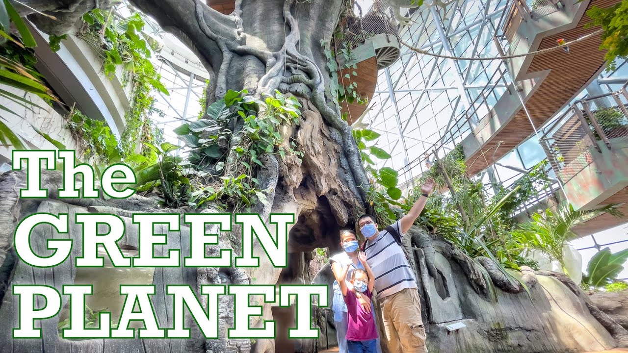 THE GREEN PLANET DUBAI Rainforest Exploration