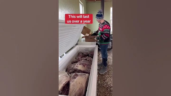 The Alligators Get 4,000 lbs Of Meat For Christmas...