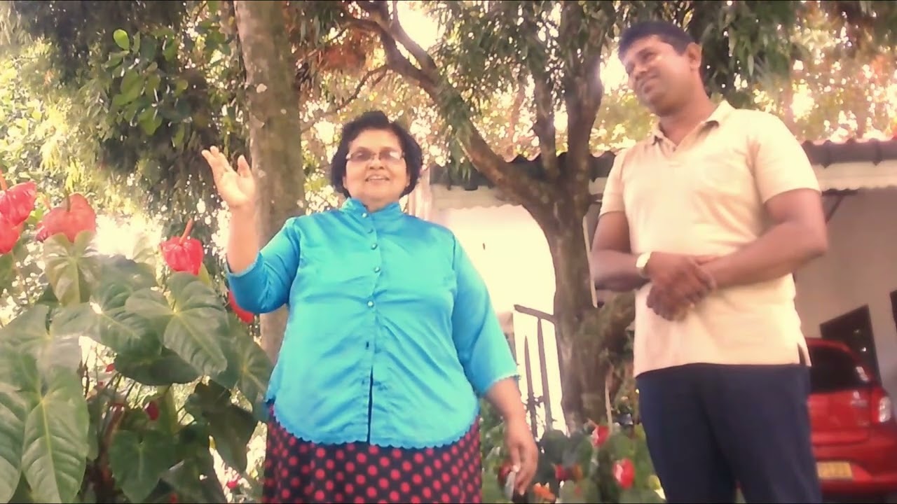 environment පරිසරය සිරිසරය