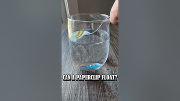 Amazing Paper Clip Floating Experiment! | Easy Science for Kids