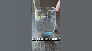 Amazing Paper Clip Floating Experiment! | Easy Science for Kids