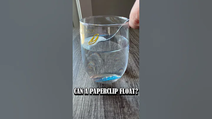 Amazing Paper Clip Floating Experiment! | Easy Science for Kids