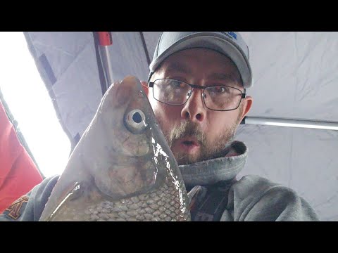 7 Species Slam (I Need a Giant Whitefish!!!)