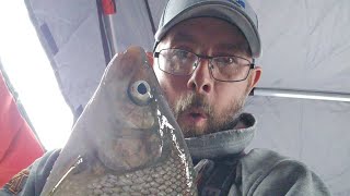 7 Species Slam (I Need a Giant Whitefish!!!)