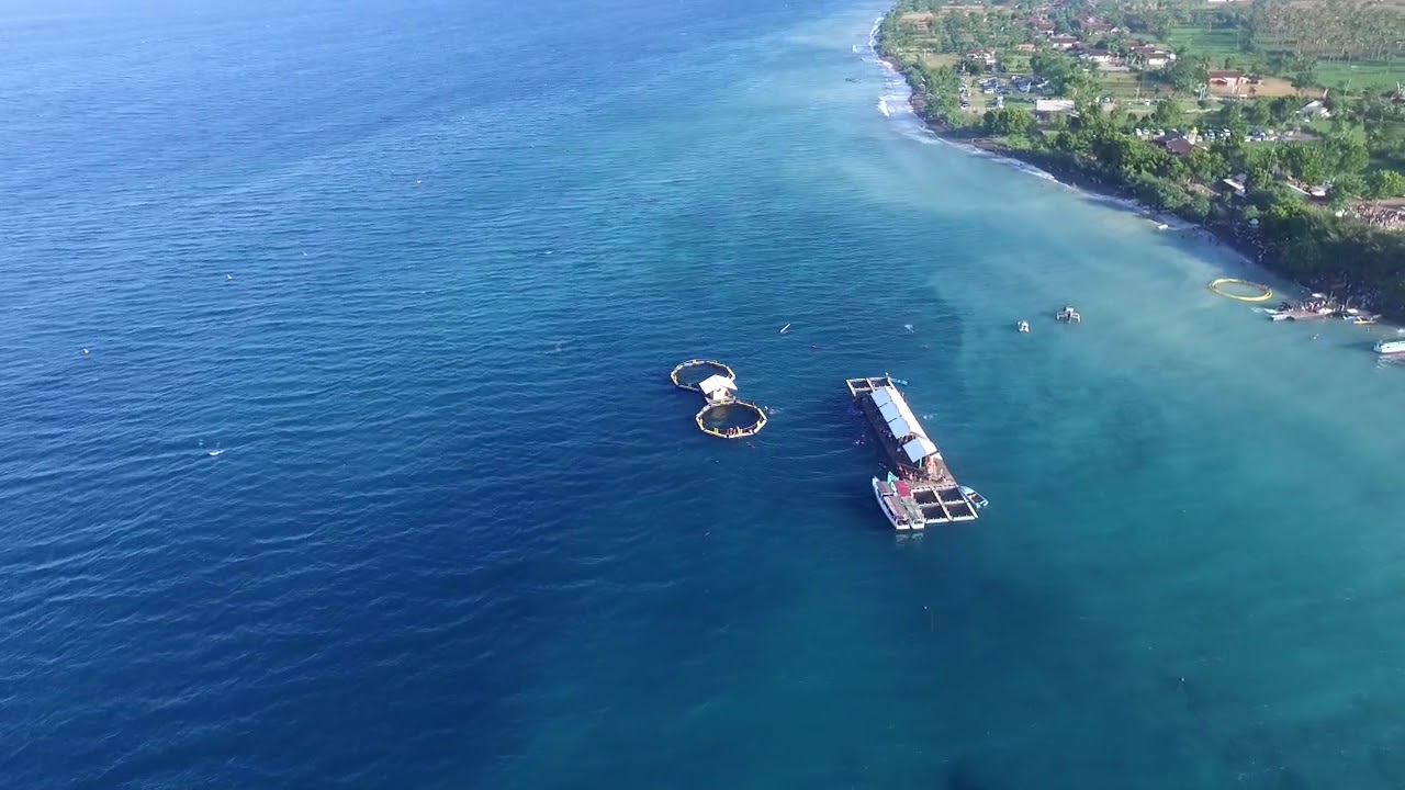 Bangsring Underwater - Visit Banyuwangi, Sunrise of Java (Drone Video ...