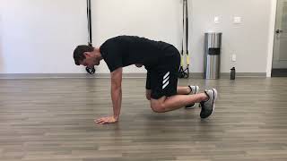 SA Scap Protraction | Bear Position