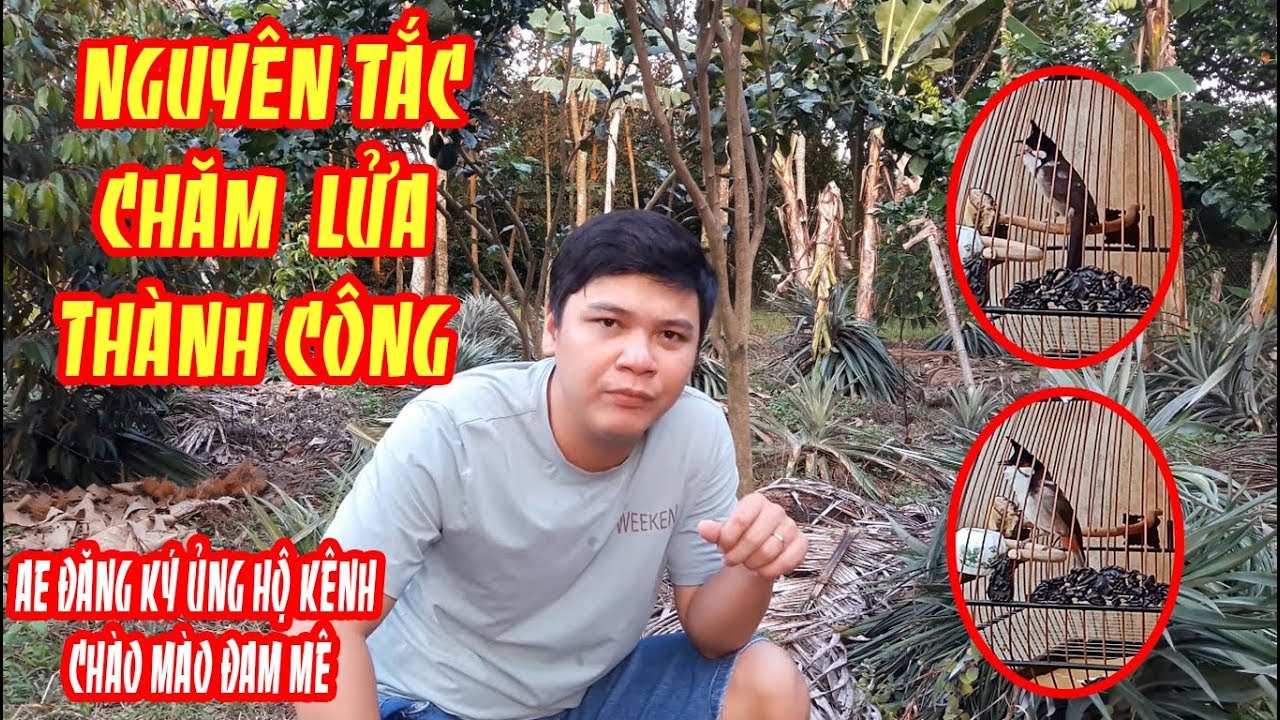 NHỮNG NGUYÊN TẮC CHĂM LỬA CHÀO MÀO ĐỂ THÀNH CÔNG