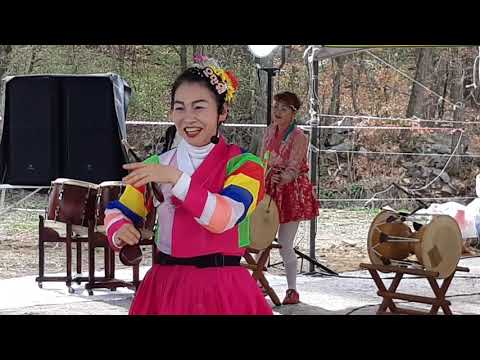 오만원 품바/2018대구 벚꽃축제~사문진&안동역에서 3월29일 빠른영상