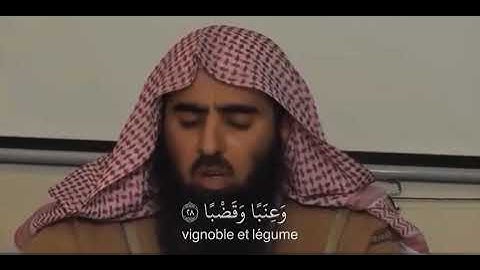 سورة عبس | محمد اللحيدان